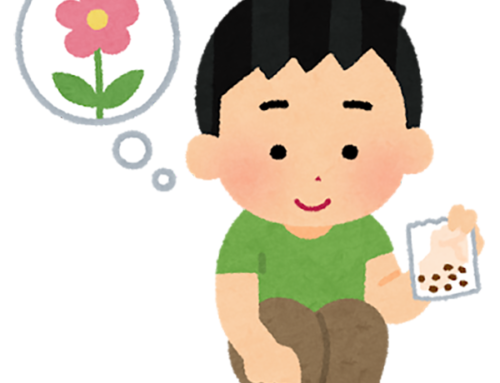 林爺爺 – 88歲｜君子蘭的培育